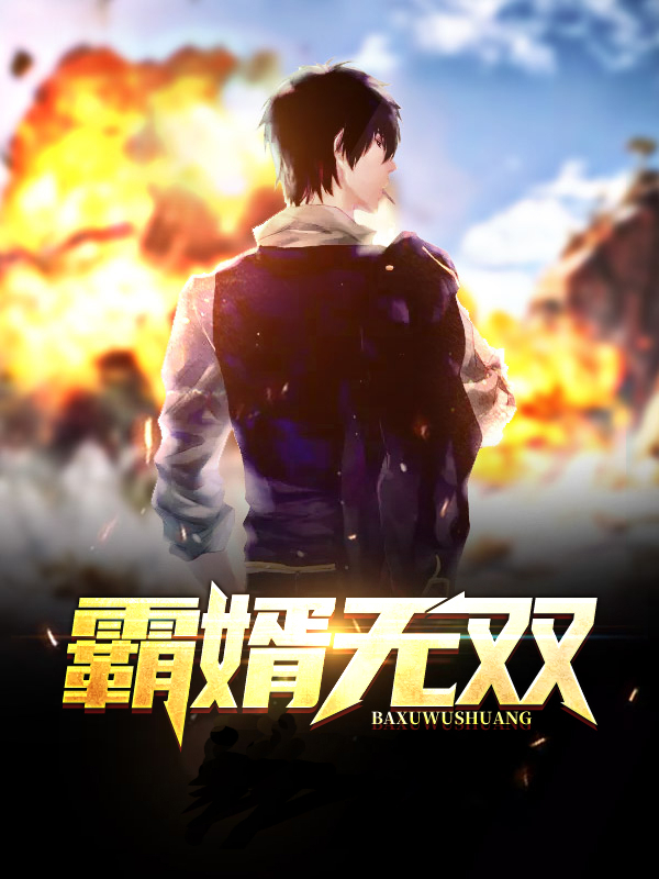三国之霸者无双