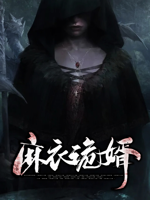 麻衣诡婿