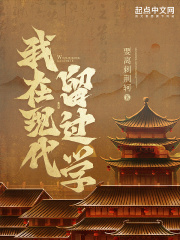 我在现代留过学TXT校对下载
