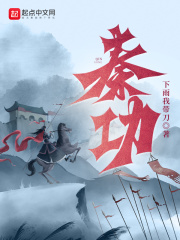 秦功小说全文免费