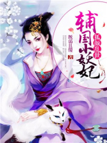 狐颜乱羽作者