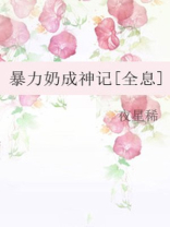 暴力奶妈txt