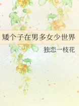 矮个子在男多女少世界