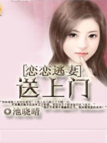 恋恋逃妻 小说