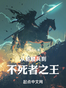 从骷髅兵到不死者之王小说