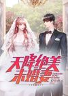 天降七个未婚妻小说免费阅读