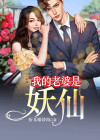 我的老婆是妖仙女主有几个