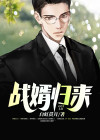 战婿归来9至200集