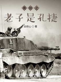 亮剑之老子是孔捷免费阅读