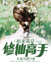 原来我才是修仙大佬免费阅读