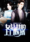 女总裁的上门医婿叶凡