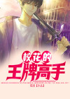 女总裁的王牌高手叶萧电视剧