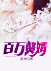 百万赘婿
