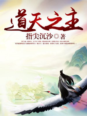 天道之主小说