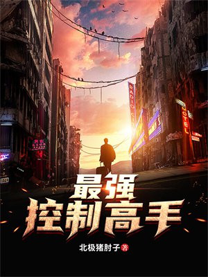 最强控制高手小说