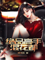 绝品高手在都市全集