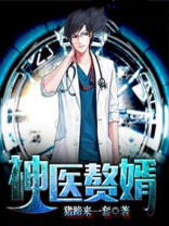 神医赘婿免费
