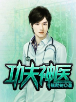 功夫圣医莫问完结版