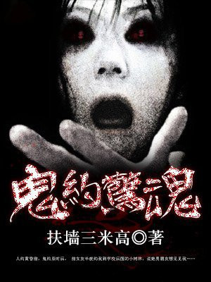 十二夜免费完整版在线观看