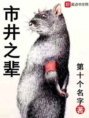 市井之辈小说TXT