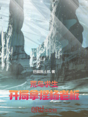 荒岛求生开局拿捏杨老板的小说