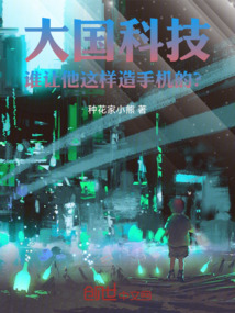 大国科技:谁让他这样造手机的小说