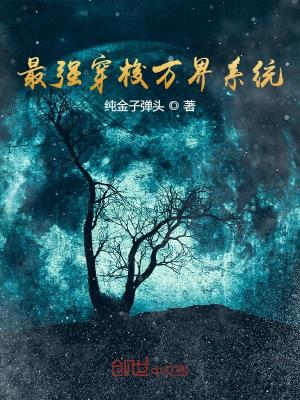 最强穿梭万界系统 小说