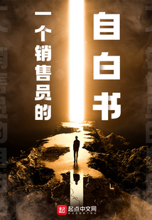一个销售员的自白书TXT