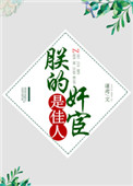朕的宦臣是佳无防盗人