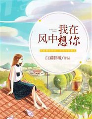 我在风中想你