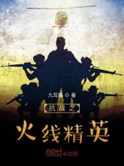 抗战之火线精英TXT下载