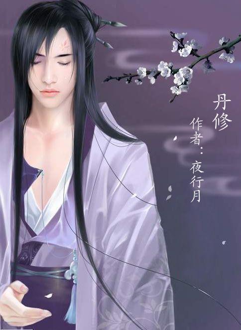丹修小说