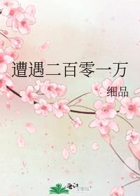 偶遇两百零一万