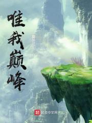 唯我巅峰雾外江山
