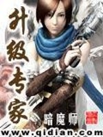 升级专家TXT下载