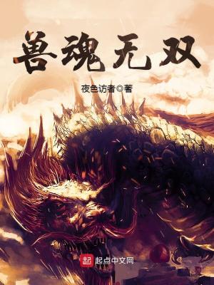 兽魂带来的效果