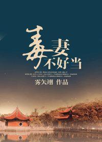 毒妻不好当[金榜]晋