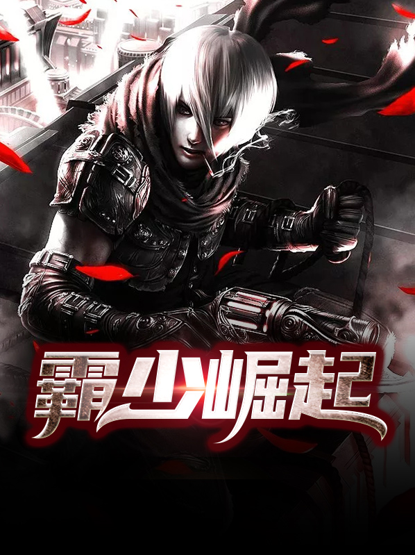 霸婿崛起免费完整版