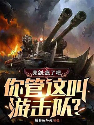 亮剑:疯了吧,你管这叫游击队?TxT