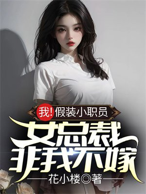 我!假装小职员,女总裁非我不嫁小说