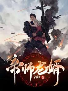 帝师龙婿