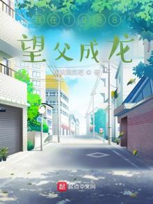 我在1988望父成龙小说