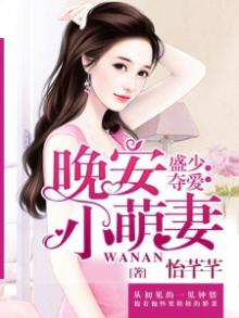 盛少宠妻成瘾全文免费阅读白小诗