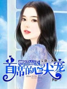 燃情霸爱:首席的心尖宠
