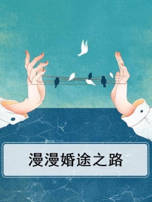 婚途漫漫讲什么
