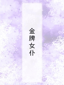 金牌女仆和银牌女仆哪个贵