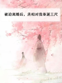 《被迫离婚》小说