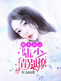 婚不由己,陆少请别撩