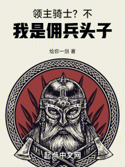领主骑士?不,我是佣兵头子