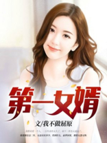 第一女婿小说